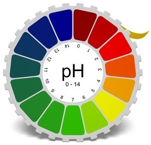 Cartina tornasole per misurare il pH del terreno