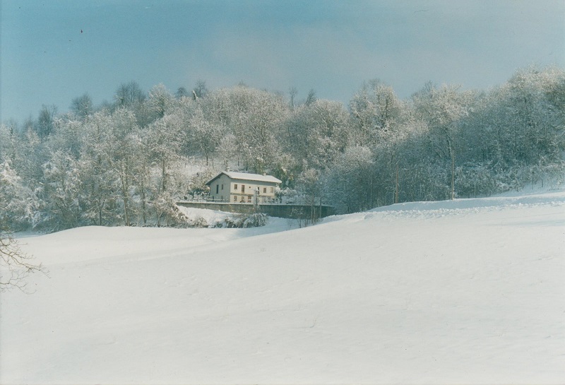 My iris hill in winter
