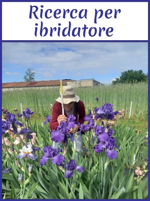 Immagine di collegamento alla ricerca per ibridatore