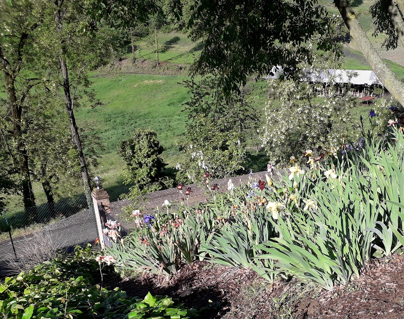 La pendenza della Collina delle Iris