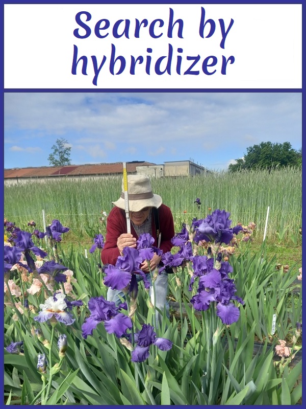 Image with link to search by hybridizer